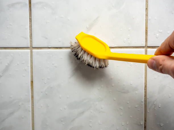 Water Damage Restoration in Lakewood, WA