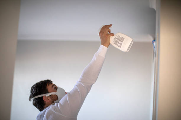 Best Attic Mold Removal  in Lakewood, WA