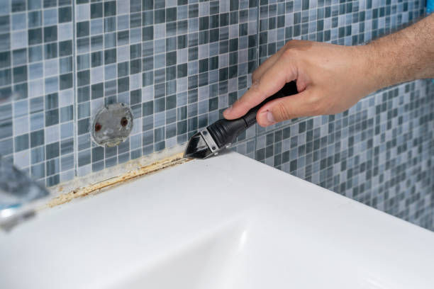 Best Office Mold Removal Services  in Lakewood, WA